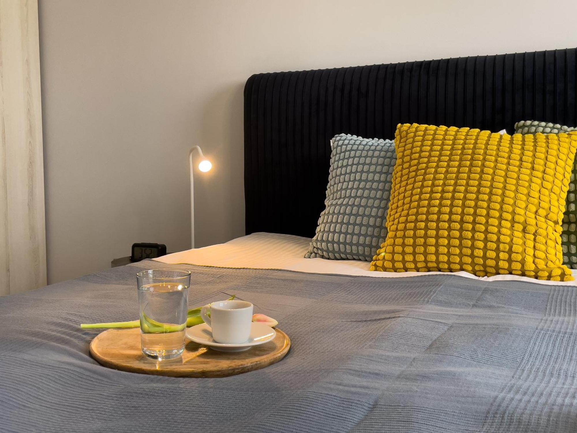 Urban Apartments Premium Baildona No 11 Free Garage, Self Check-In Katovice Exteriér fotografie